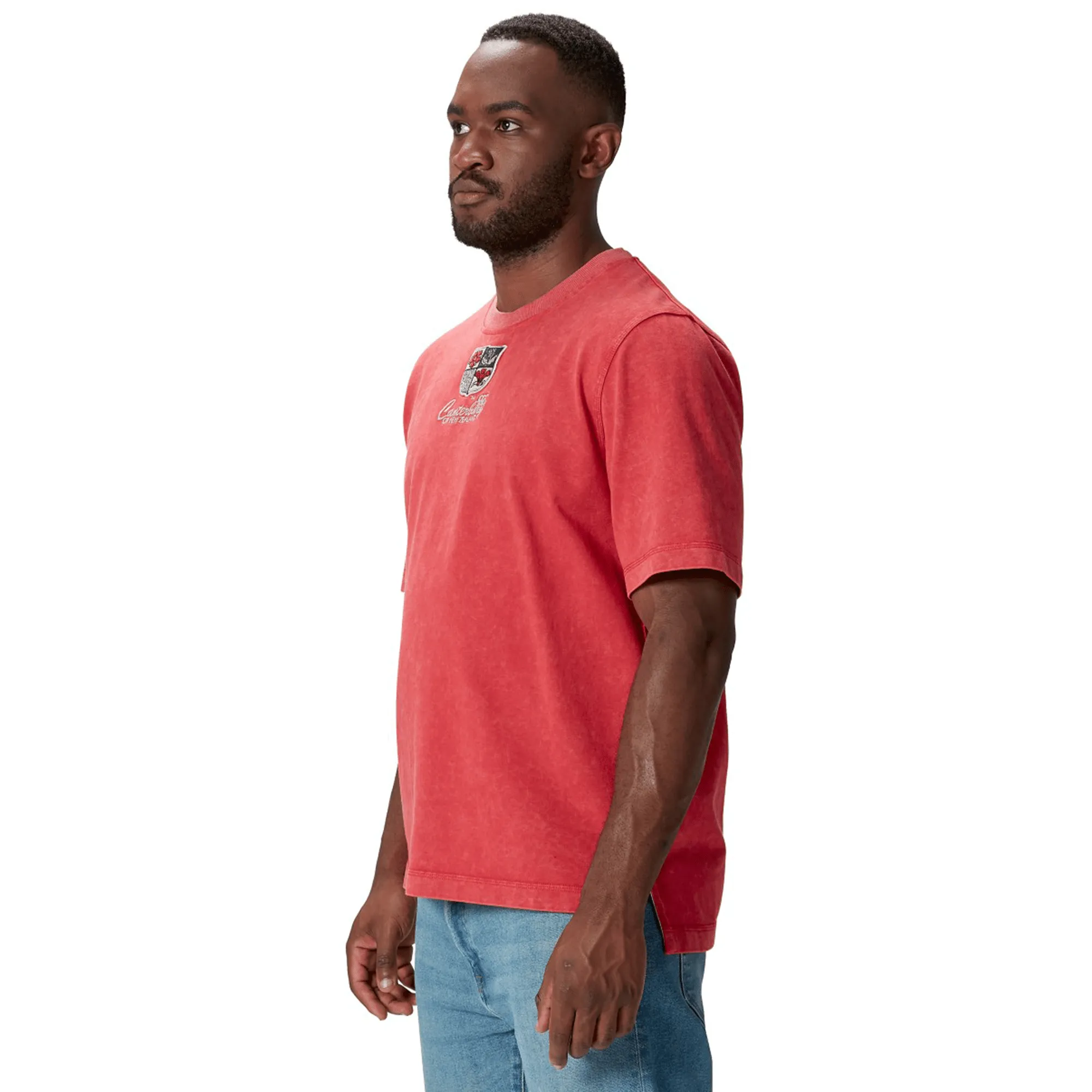British & Irish Lions 25 Heritage Tee by Canterbury
