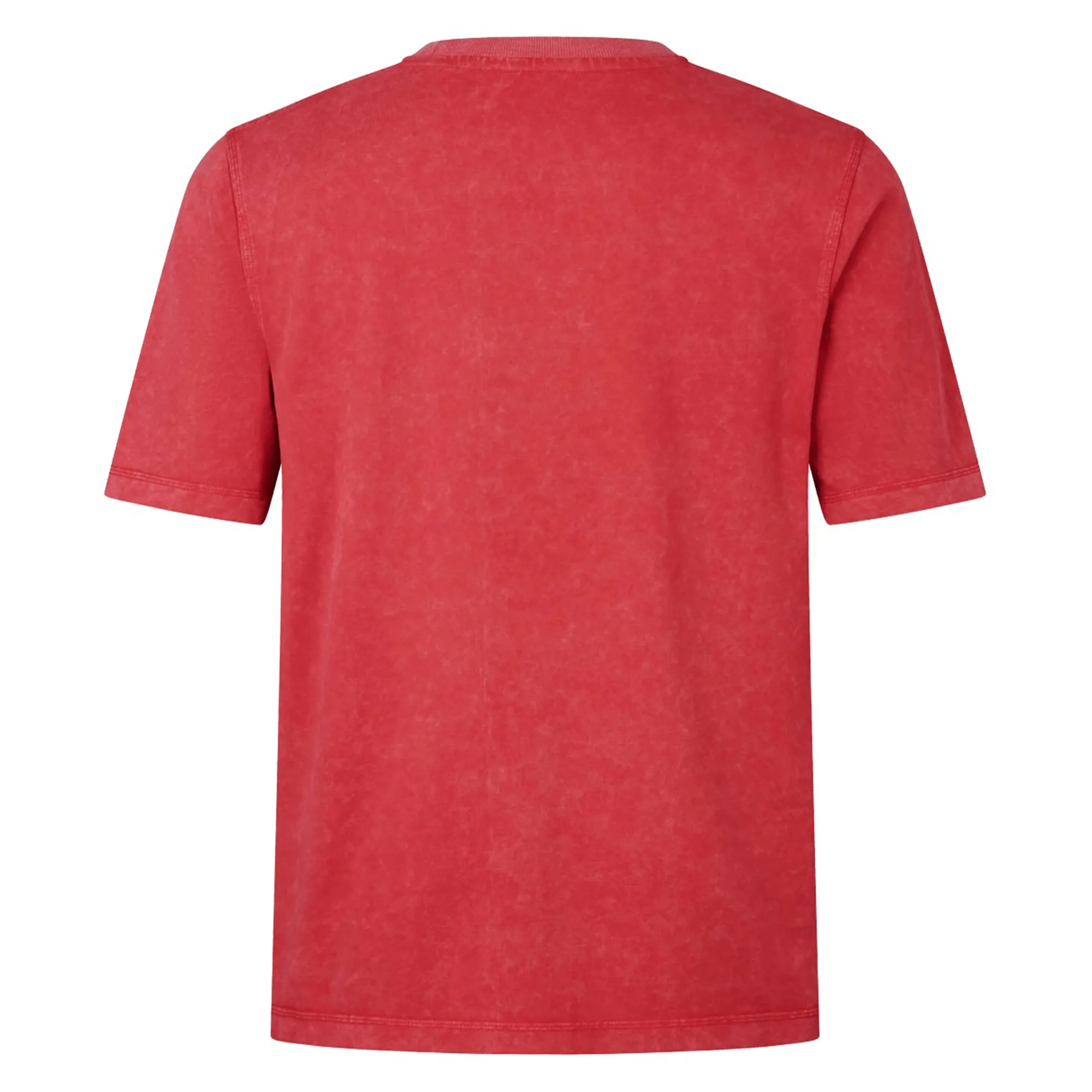 British & Irish Lions 25 Heritage Tee by Canterbury