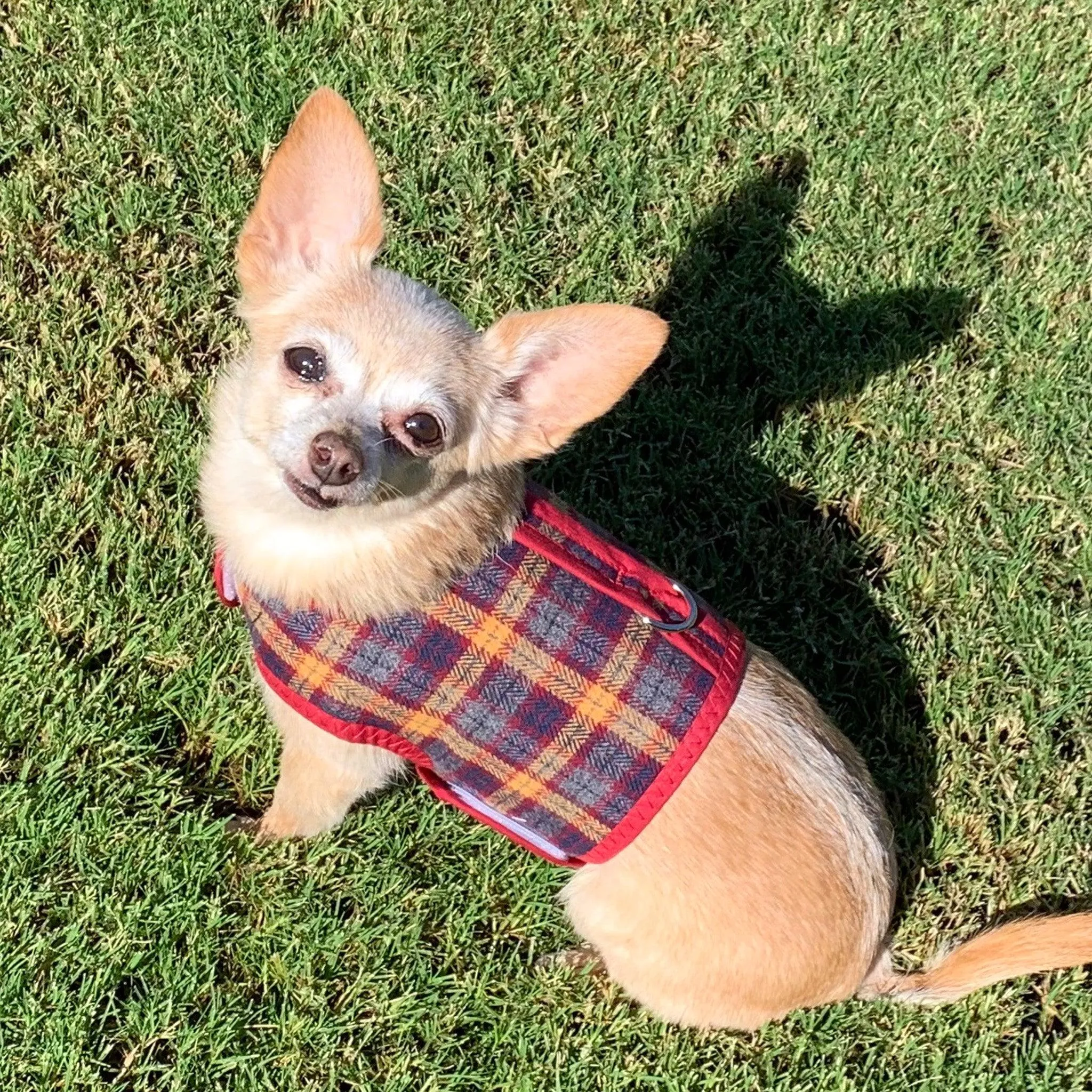 Grey & Red Plaid Brushed Cotton Dog Vest Harness