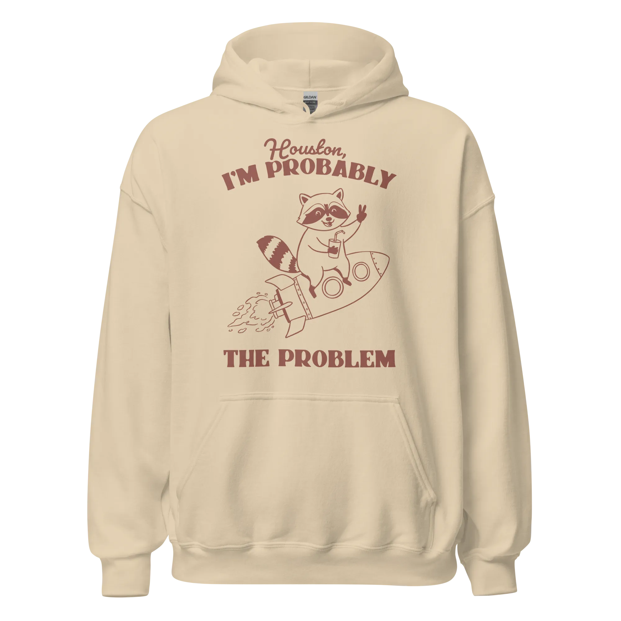Houston I'm Probably The Problem Hoodie