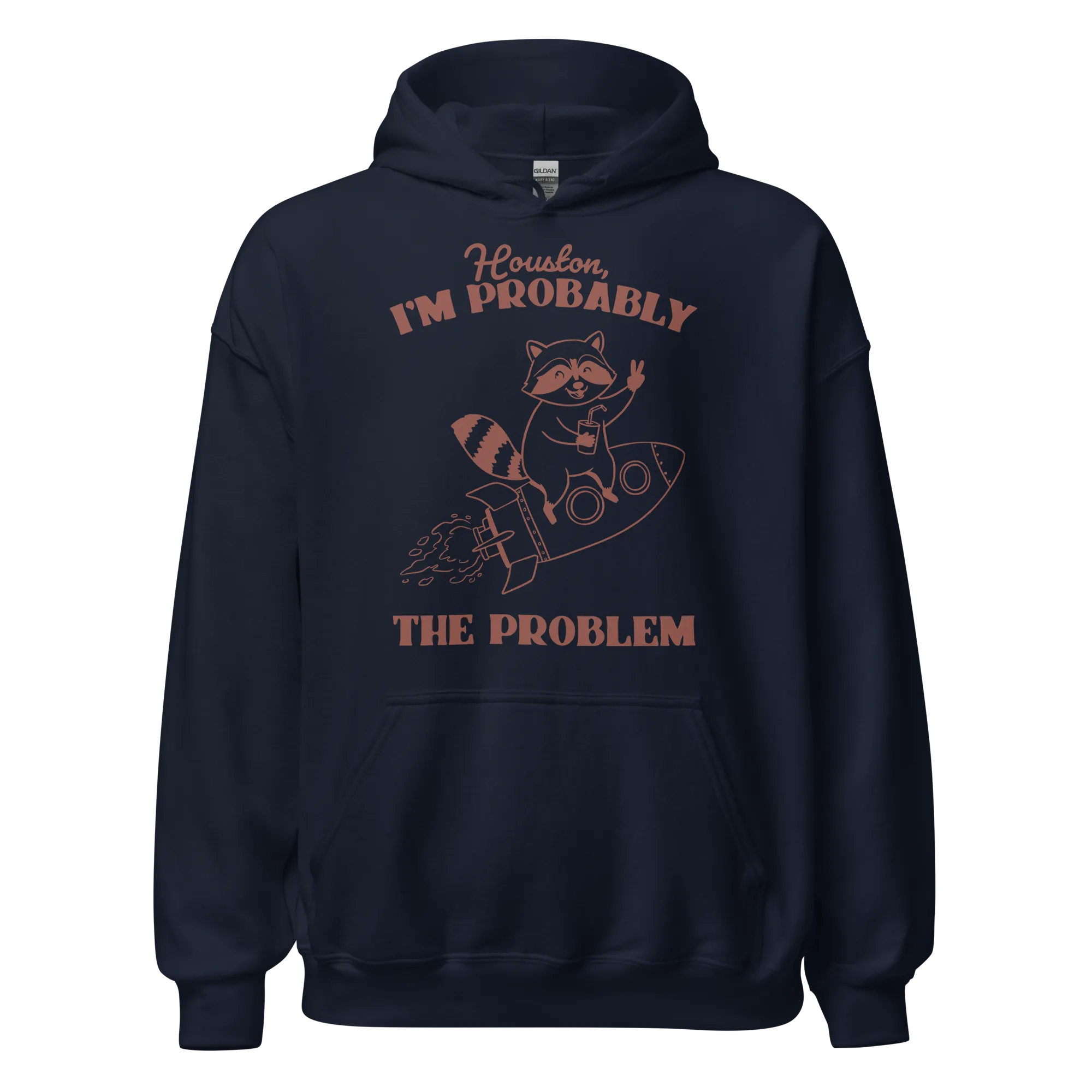 Houston I'm Probably The Problem Hoodie