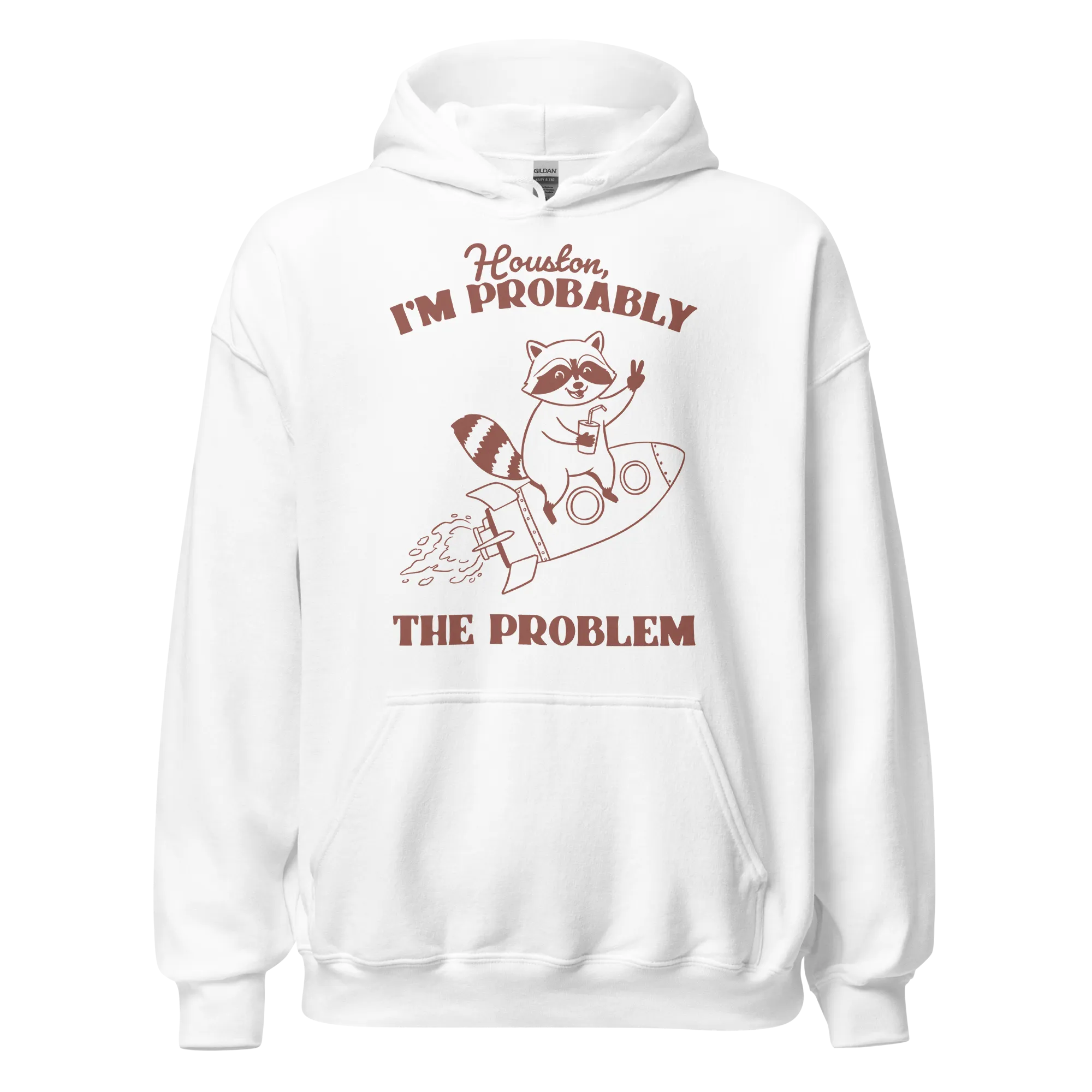 Houston I'm Probably The Problem Hoodie
