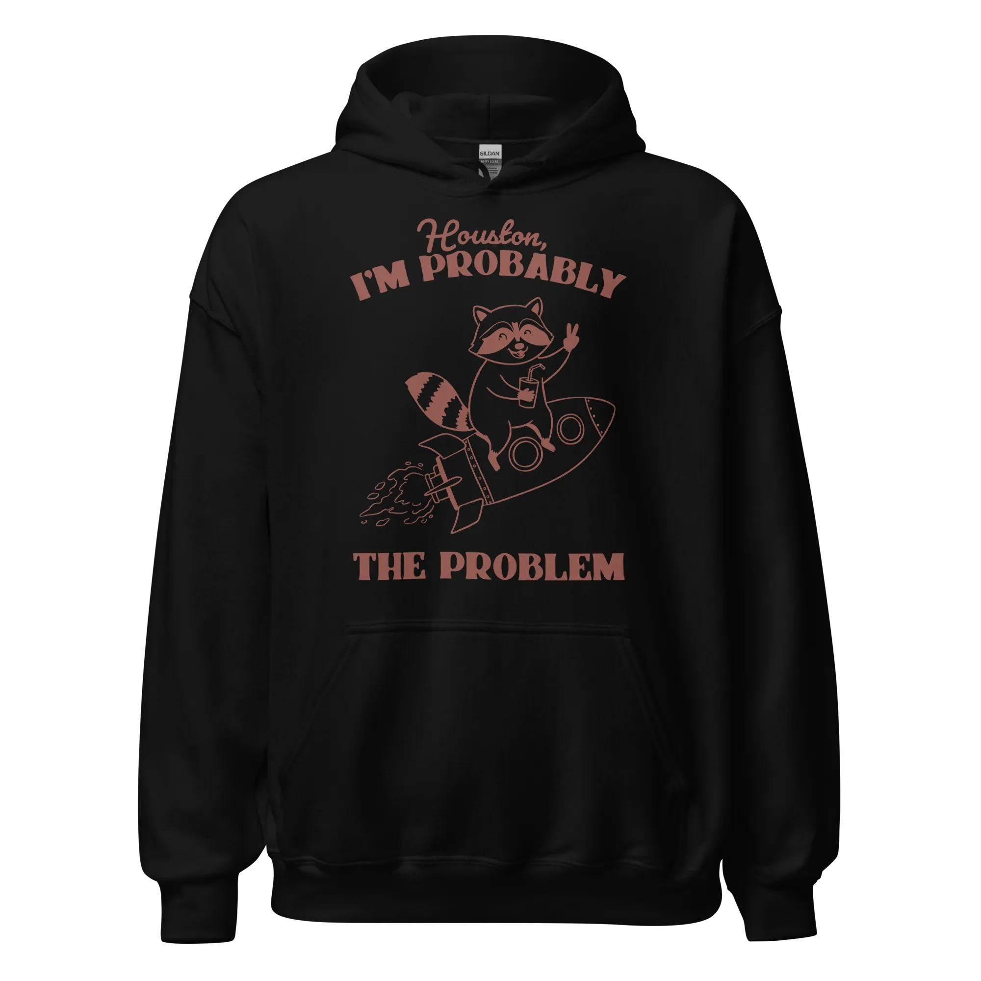 Houston I'm Probably The Problem Hoodie