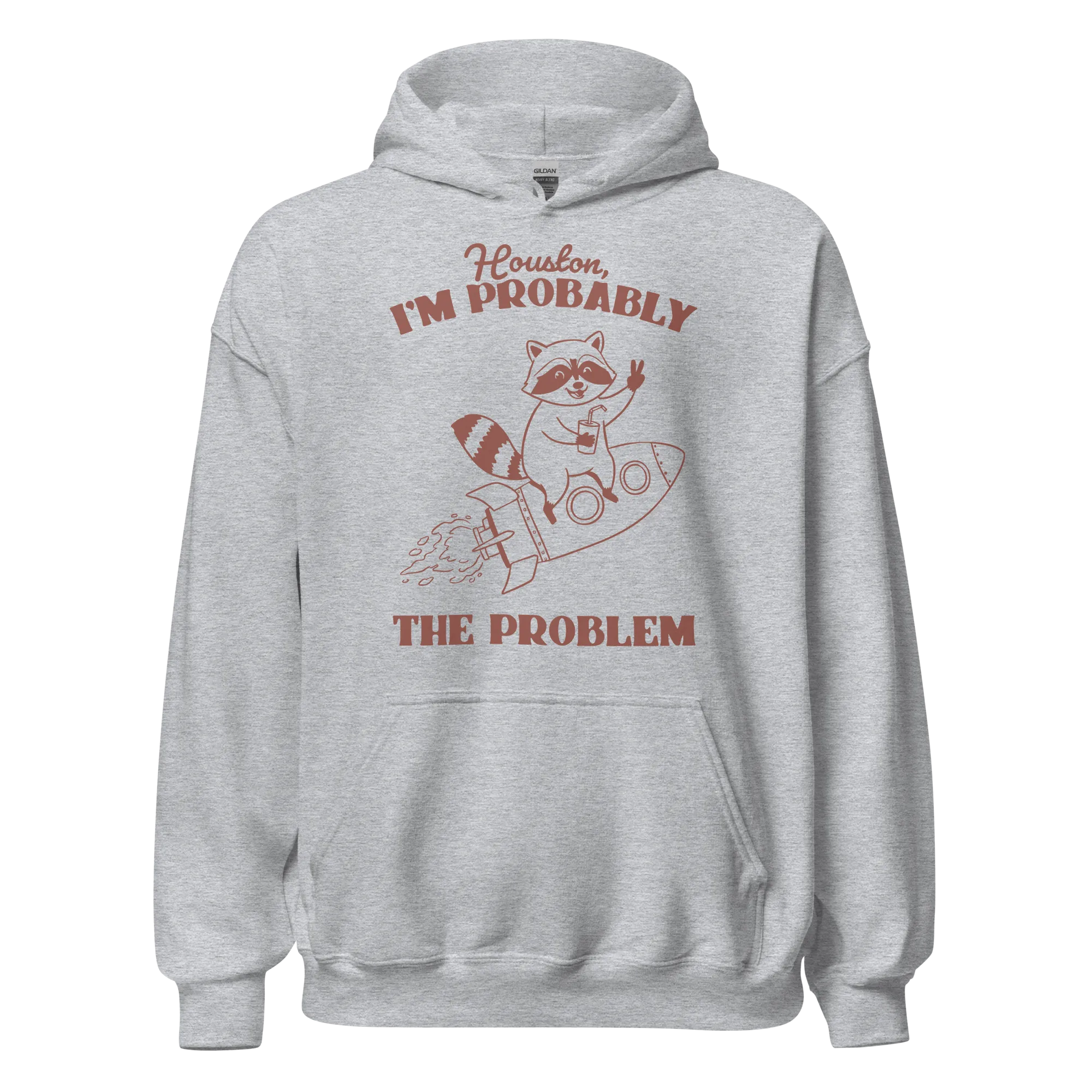 Houston I'm Probably The Problem Hoodie