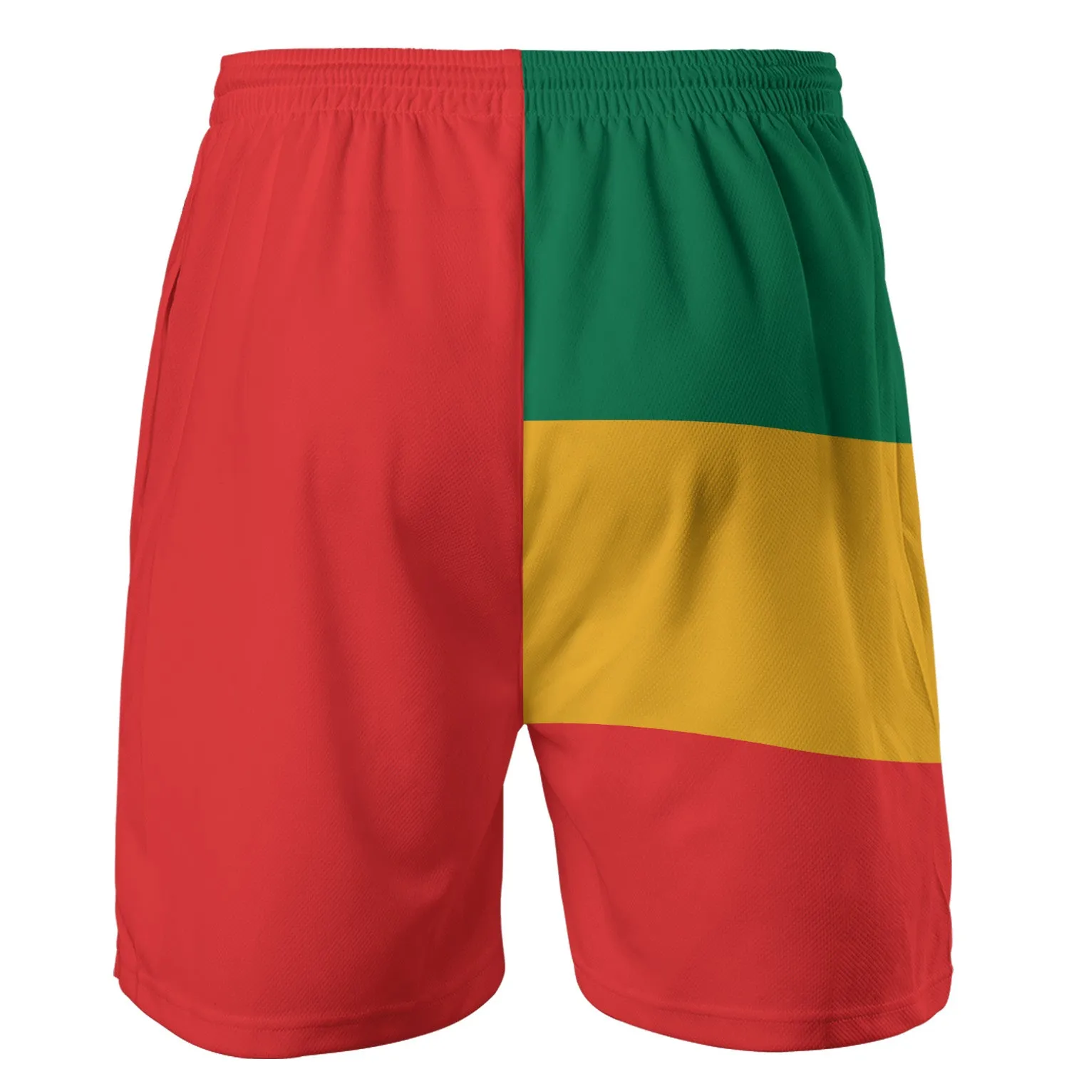 Lion Of Judah Athletic Rasta Shorts