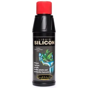 Liquid Silicone