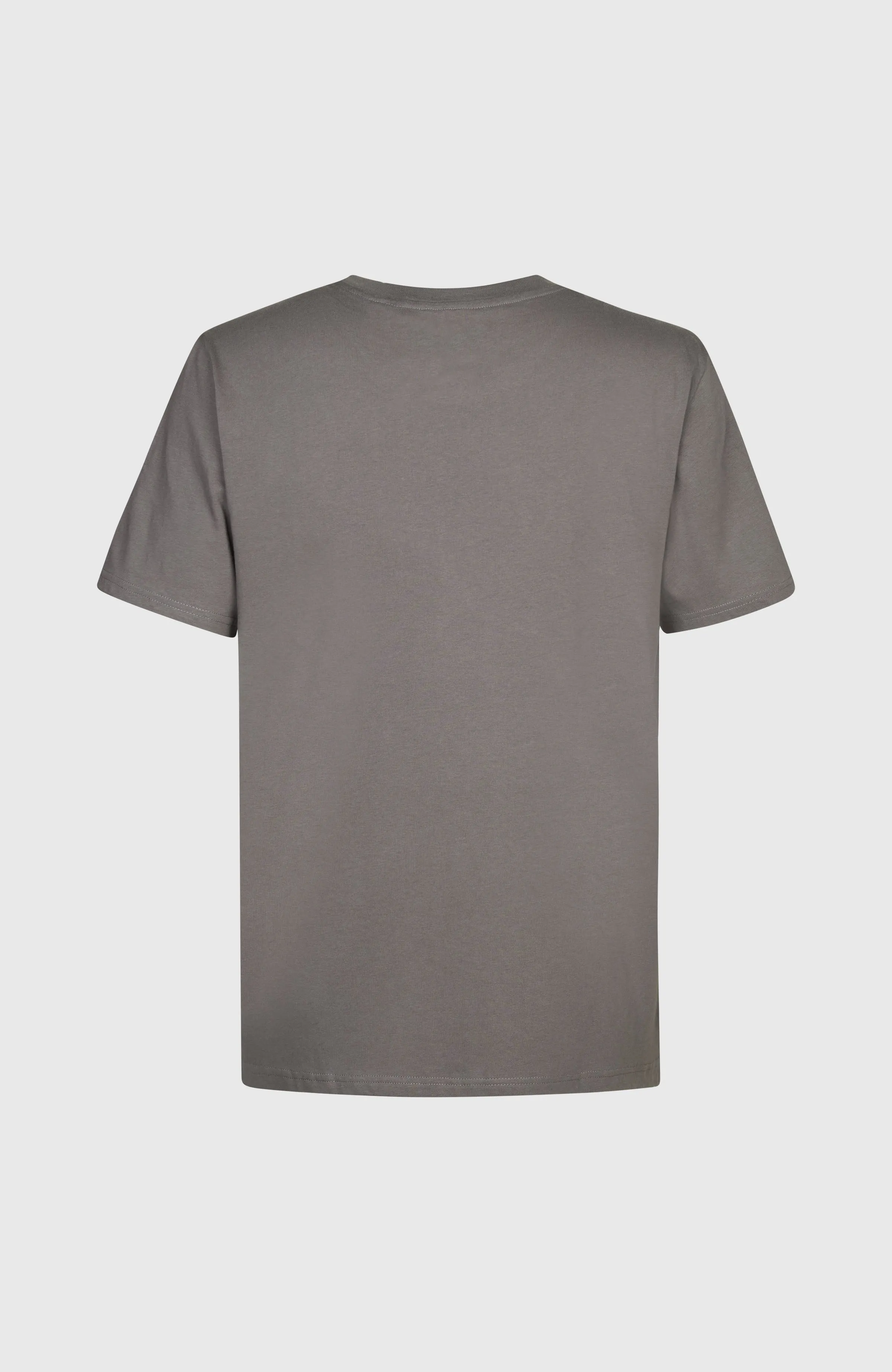 Palm T-Shirt | Flint Stone