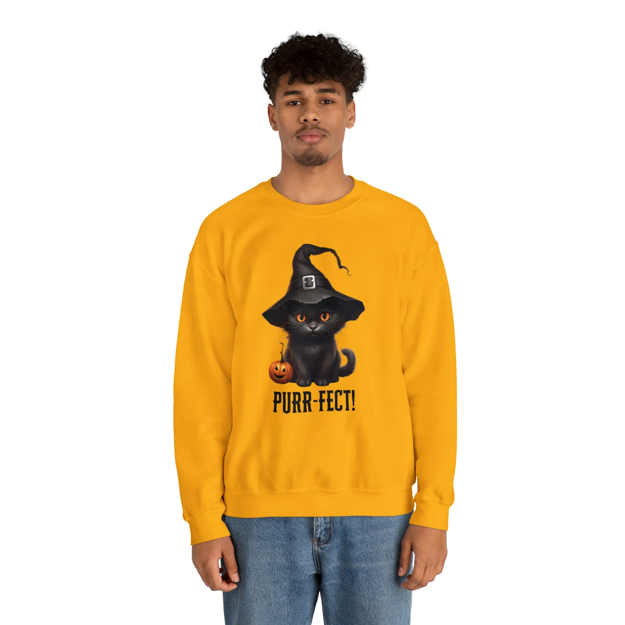 Purr-Fect Black Cat Sweatshirt, Scary Witch's Hat Pullover, Creepy Halloween Crewneck Sweatshirt, Unisex Heavy Blend Sweatshirt