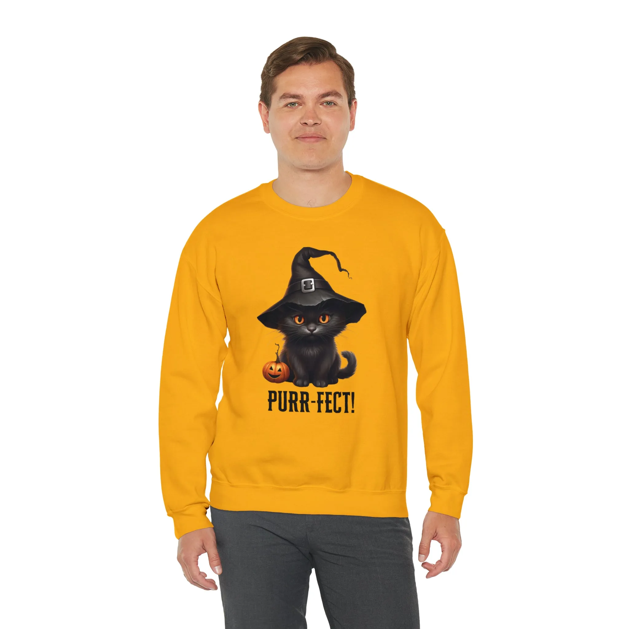 Purr-Fect Black Cat Sweatshirt, Scary Witch's Hat Pullover, Creepy Halloween Crewneck Sweatshirt, Unisex Heavy Blend Sweatshirt