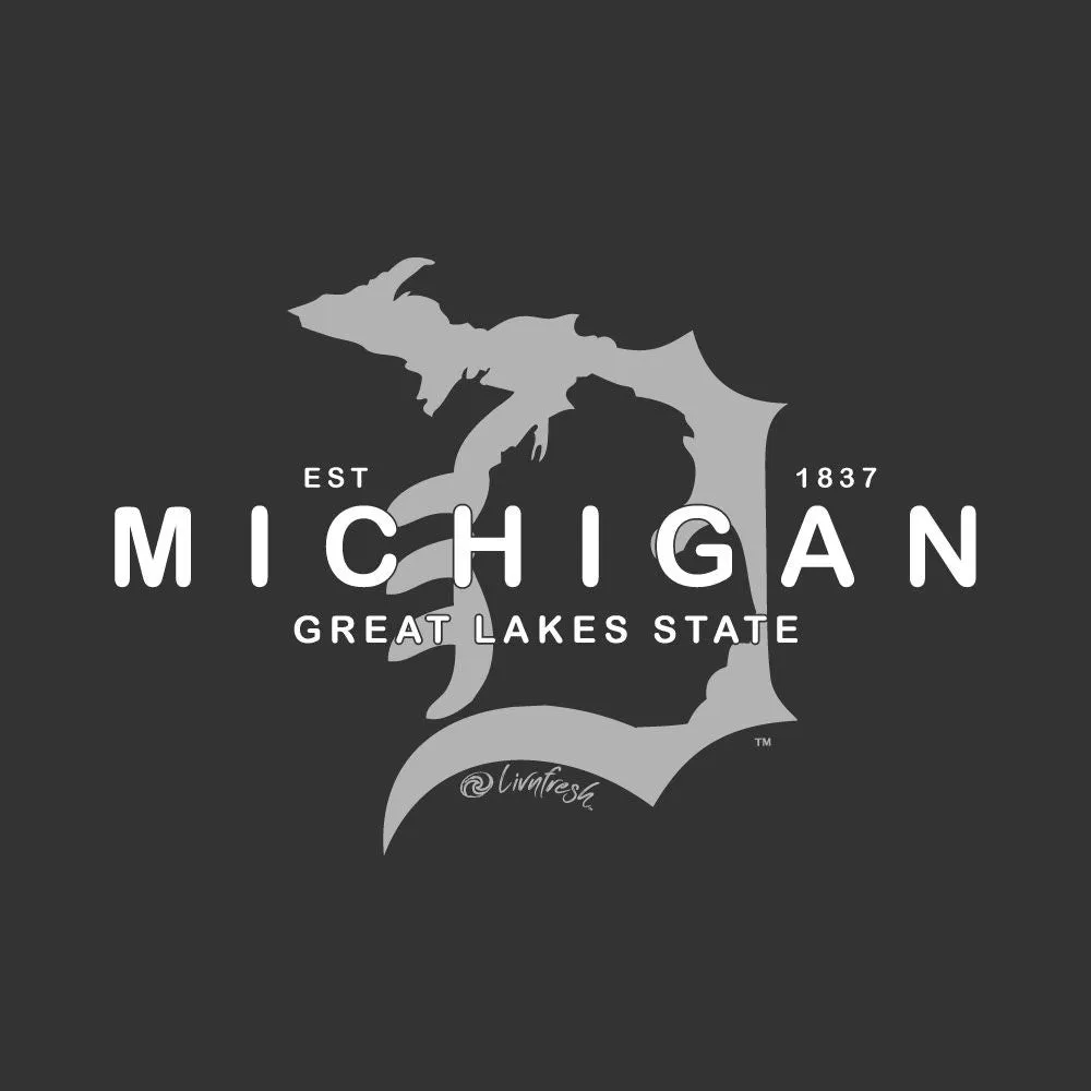 "Michigan D Established 1837" Women's Striped Double Hood Pullover