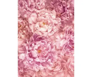 Soave Blossom XXL2-009 Wall Mural