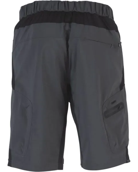Zoic Mens Ether 12" Shorts